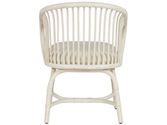 Aruba Nomad Snow/Egret Rattan Dining Chair - Ornate Home