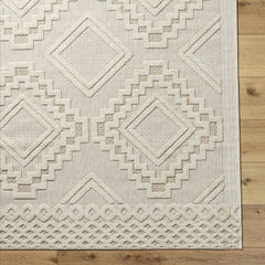 Arwid Bone Outdoor Area Rug - Clearance - Ornate Home