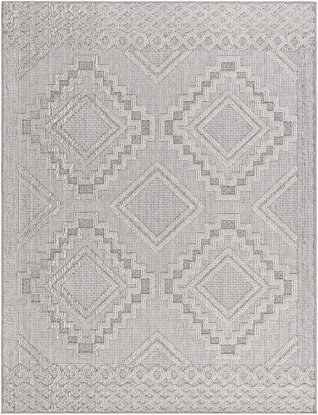 Arwid Light Gray Outdoor Area Rug - Clearance - Ornate Home