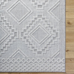 Arwid Light Gray Outdoor Area Rug - Clearance - Ornate Home