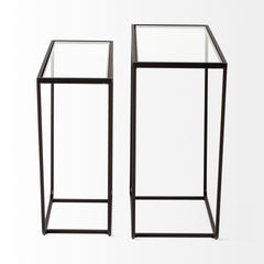 Arya Black Rectangular Glass Top Iron Frame Accent Table (Set of 2) - Ornate Home