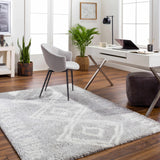 Asael Gray Area Rug - Clearance - Ornate Home