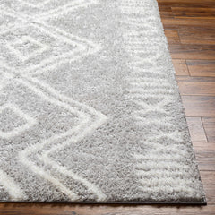 Asael Gray Area Rug - Clearance - Ornate Home