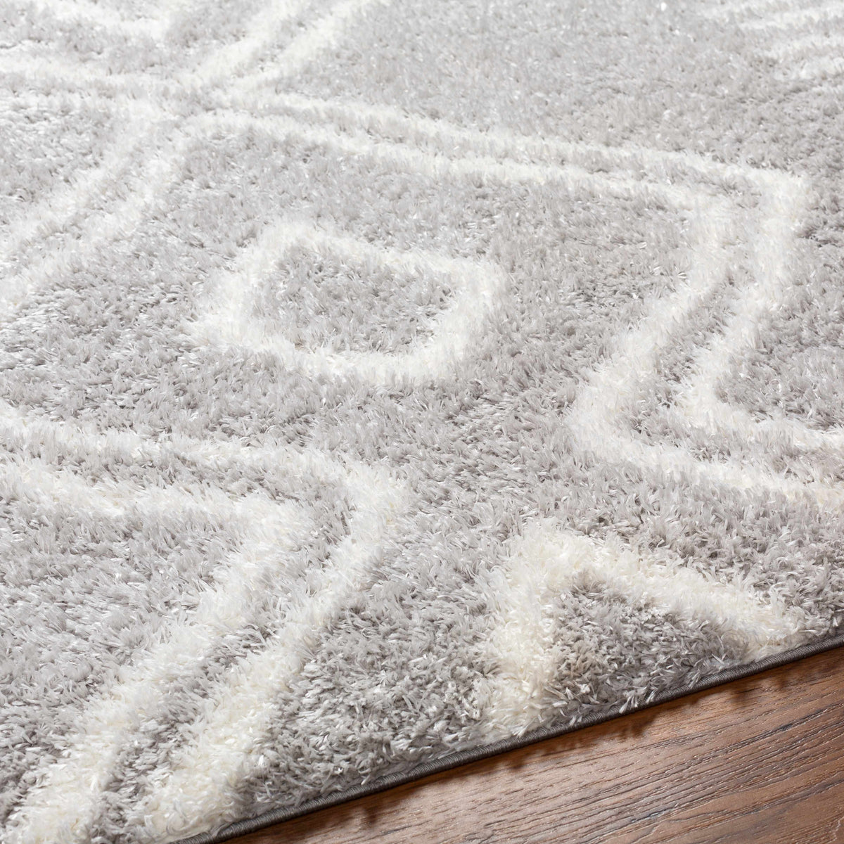 Asael Gray Area Rug - Clearance - Ornate Home