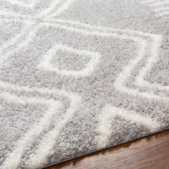 Asael Gray Area Rug - Clearance - Ornate Home
