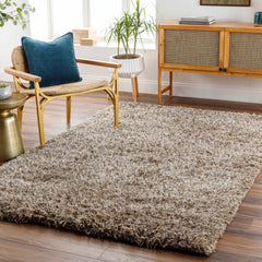 Ascot Area Rug - Clearance - Ornate Home