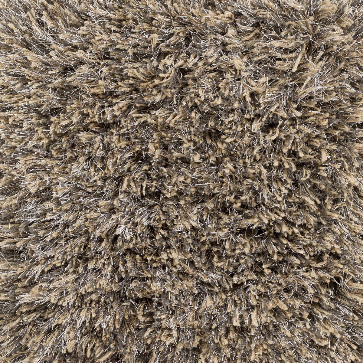 Ascot Area Rug - Clearance - Ornate Home
