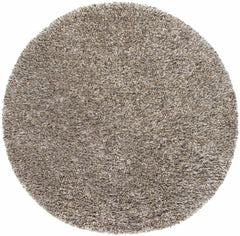 Ascot Area Rug - Clearance - Ornate Home