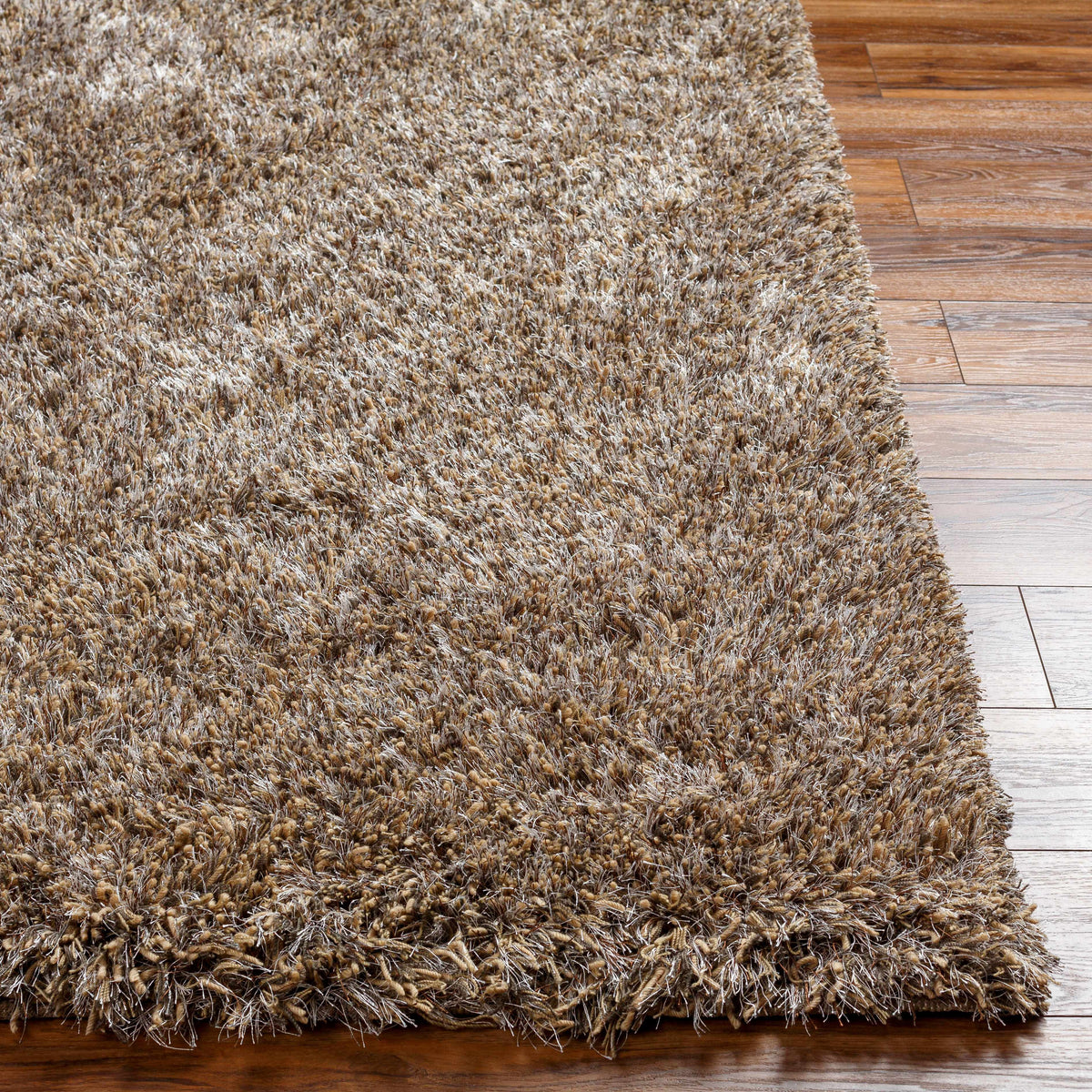 Ascot Area Rug - Clearance - Ornate Home