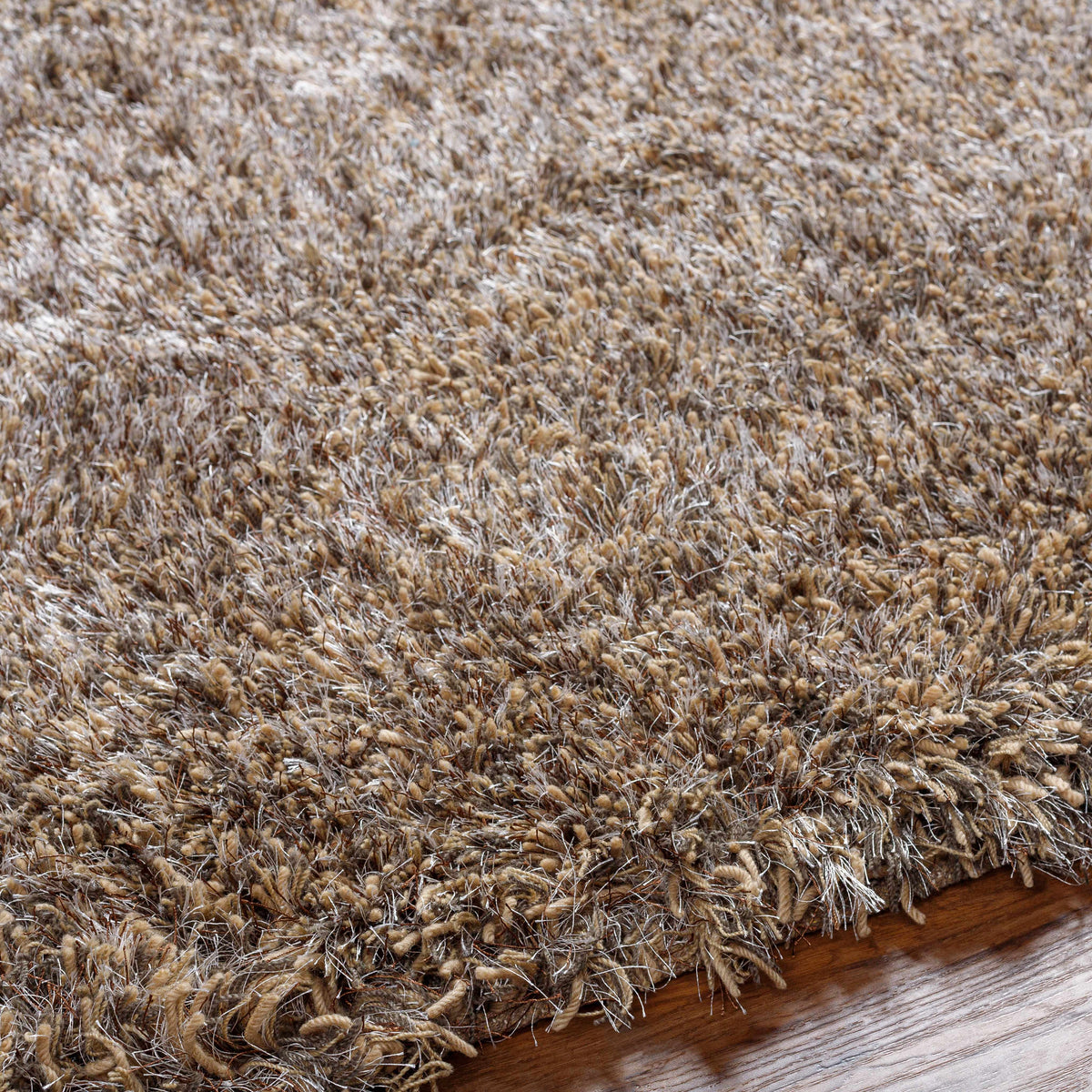 Ascot Area Rug - Clearance - Ornate Home