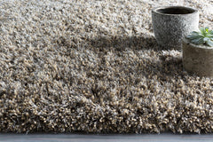 Ascot Area Rug - Clearance - Ornate Home