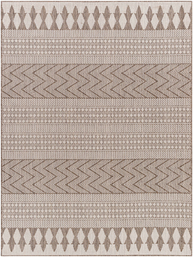 Asif Brown Outdoor Area Rug - Clearance - Ornate Home