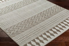 Asif Brown Outdoor Area Rug - Clearance - Ornate Home