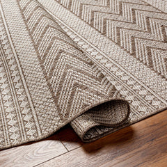 Asif Brown Outdoor Area Rug - Clearance - Ornate Home