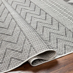Asif Gray Outdoor Area Rug - Clearance - Ornate Home