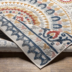 Asis Outdoor Area Rug - Clearance - Ornate Home