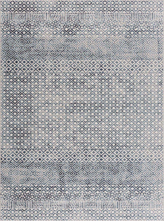 Askeaton Washable Area Rug - Clearance - Ornate Home
