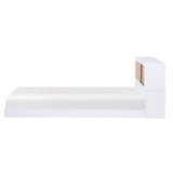 Asker White Twin Bookcase Bed - Ornate Home