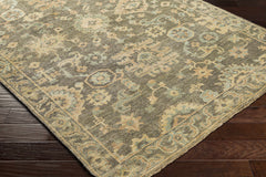Asotin Hand Knotted Wool Area Rug - Clearance - Ornate Home