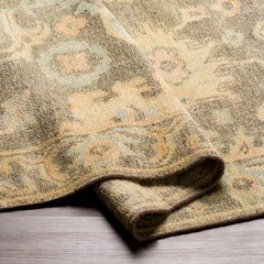 Asotin Hand Knotted Wool Area Rug - Clearance - Ornate Home