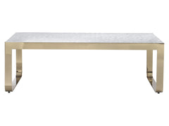 Aster Capiz/Brass Cocktail Table - Ornate Home