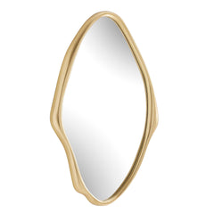 Aster Gold Abstract Mirror - Ornate Home