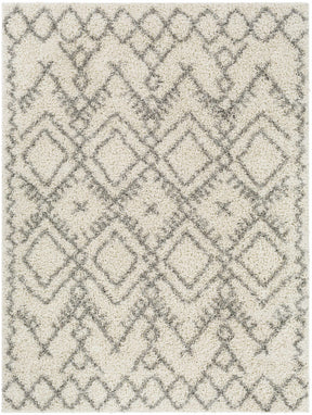 Atascadero Area Carpet - Clearance - Ornate Home
