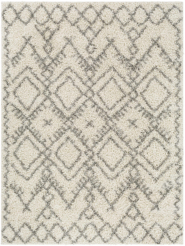 Atascadero Area Carpet - Clearance - Ornate Home