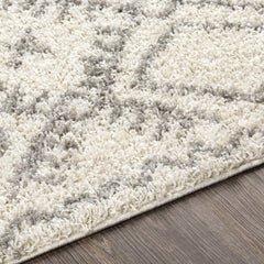 Atascadero Area Carpet - Clearance - Ornate Home
