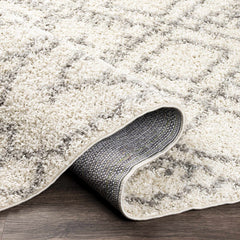 Atascadero Area Carpet - Clearance - Ornate Home
