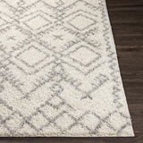 Atascadero Area Carpet - Clearance - Ornate Home