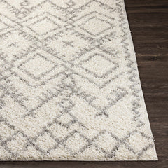 Atascadero Area Carpet - Clearance - Ornate Home