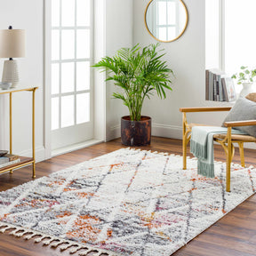 Atish Area Rug - Clearance - Ornate Home