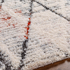 Atish Area Rug - Clearance - Ornate Home