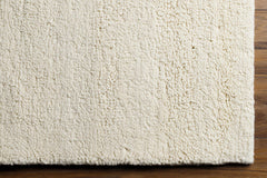 Atiya Area Rug - Clearance - Ornate Home