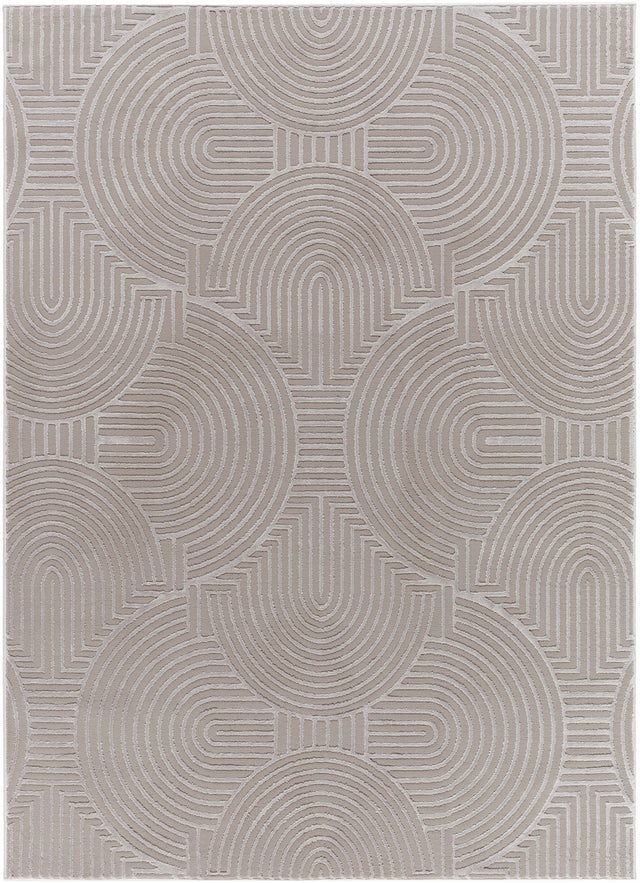 Aucoin Taupe 3D Rainbow Washable Area Rug - Ornate Home