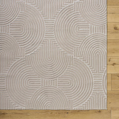 Aucoin Taupe 3D Rainbow Washable Area Rug - Ornate Home