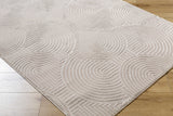 Aucoin Taupe 3D Rainbow Washable Area Rug - Ornate Home