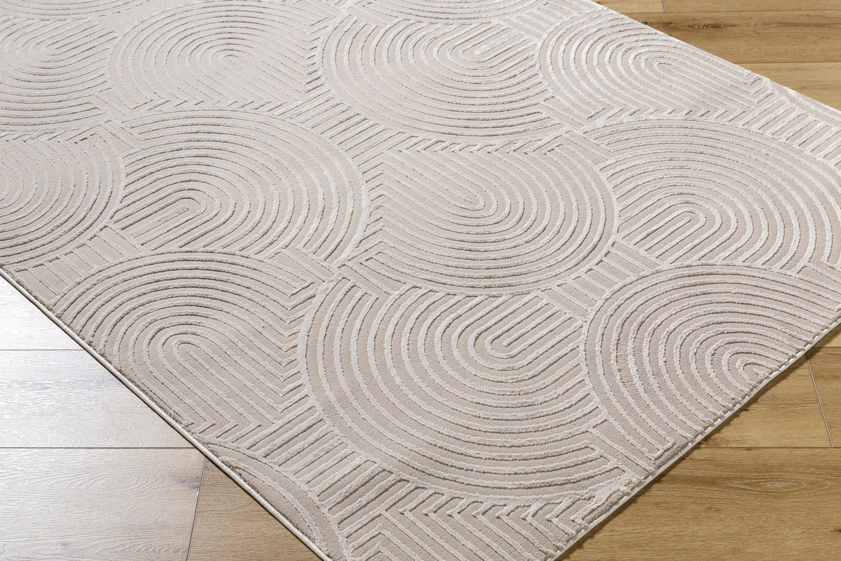 Aucoin Taupe 3D Rainbow Washable Area Rug - Ornate Home