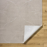 Aucoin Taupe 3D Rainbow Washable Area Rug - Ornate Home