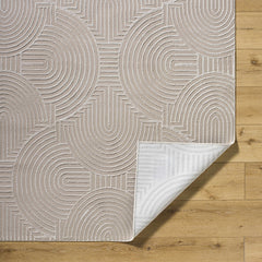 Aucoin Taupe 3D Rainbow Washable Area Rug - Ornate Home