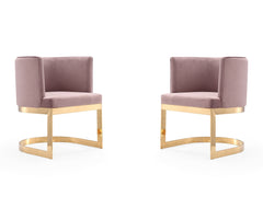 Aura Dining Chair in Blush and Polished Brass (set of 2) - Ornate Home