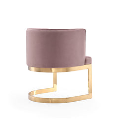 Aura Dining Chair in Blush and Polished Brass (set of 2) - Ornate Home