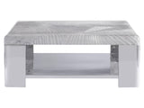 Aura Patterned Acrylic/Polished Stainless Steel Cocktail Table - Ornate Home