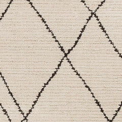 Ausca Area Rug - Clearance - Ornate Home