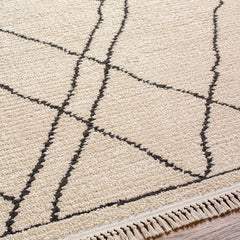 Ausca Area Rug - Clearance - Ornate Home