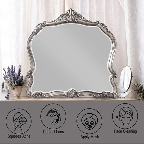 Ausonia Mirror - Ornate Home