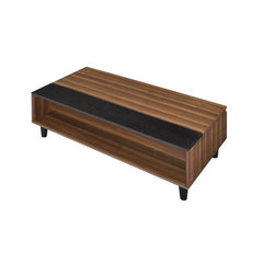 Avala Coffee Table - Ornate Home