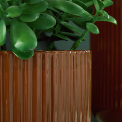 Avalyah Burnt Umber Vase (Set of 2) - Ornate Home
