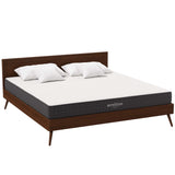 Aveline 8" King Mattress - Ornate Home